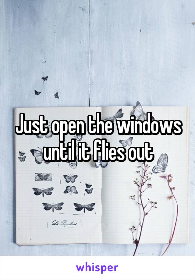 Just open the windows until it flies out