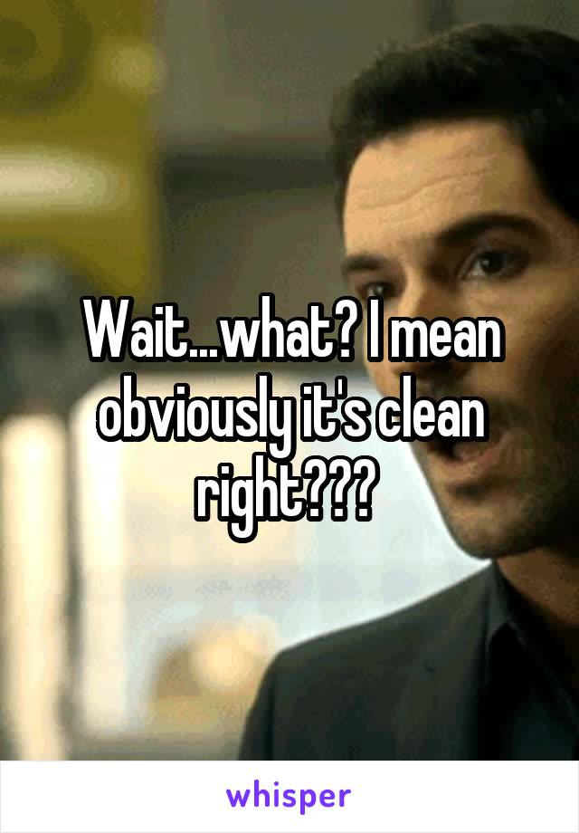 Wait...what? I mean obviously it's clean right??? 