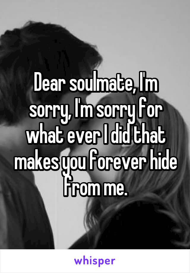 Dear soulmate, I'm sorry, I'm sorry for what ever I did that makes you forever hide from me.