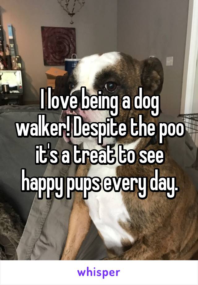 I love being a dog walker! Despite the poo it's a treat to see happy pups every day.