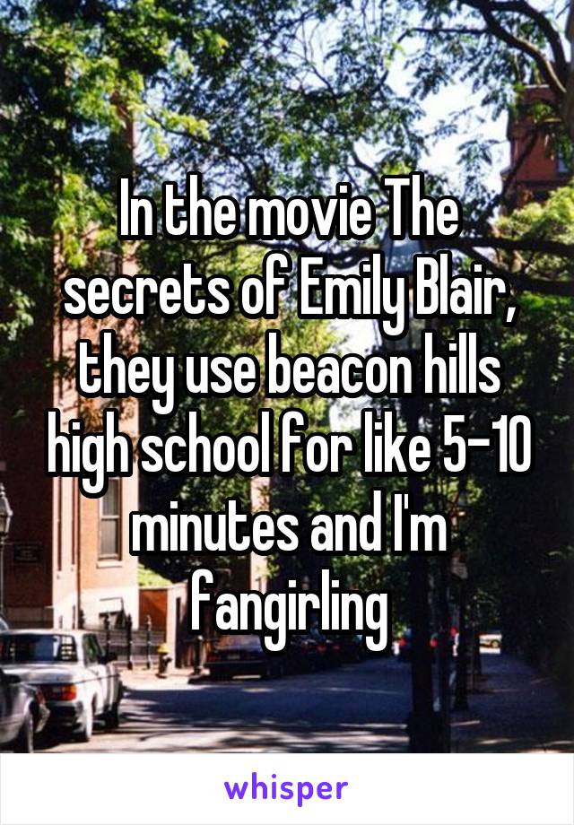 In the movie The secrets of Emily Blair, they use beacon hills high school for like 5-10 minutes and I'm fangirling