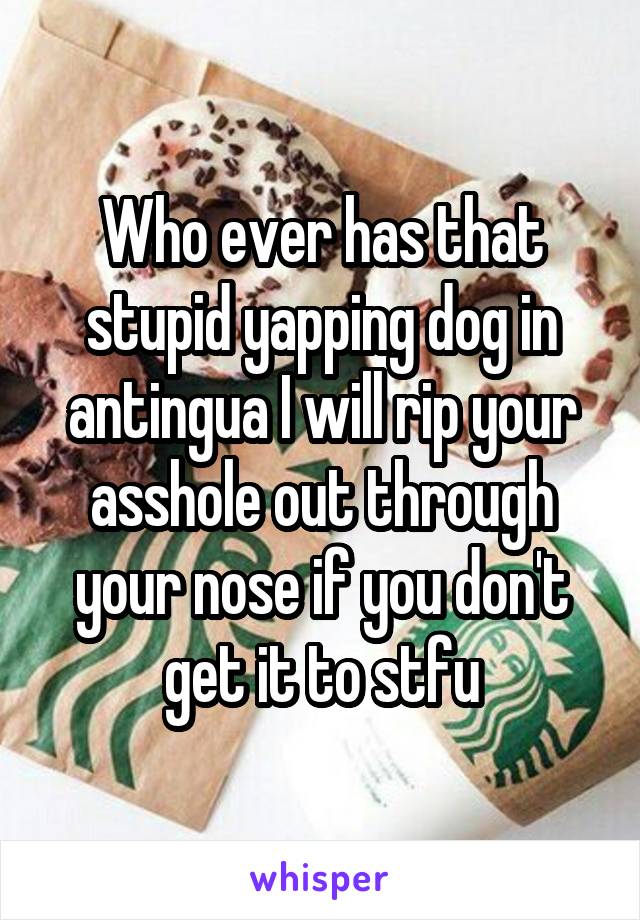 Who ever has that stupid yapping dog in antingua I will rip your asshole out through your nose if you don't get it to stfu