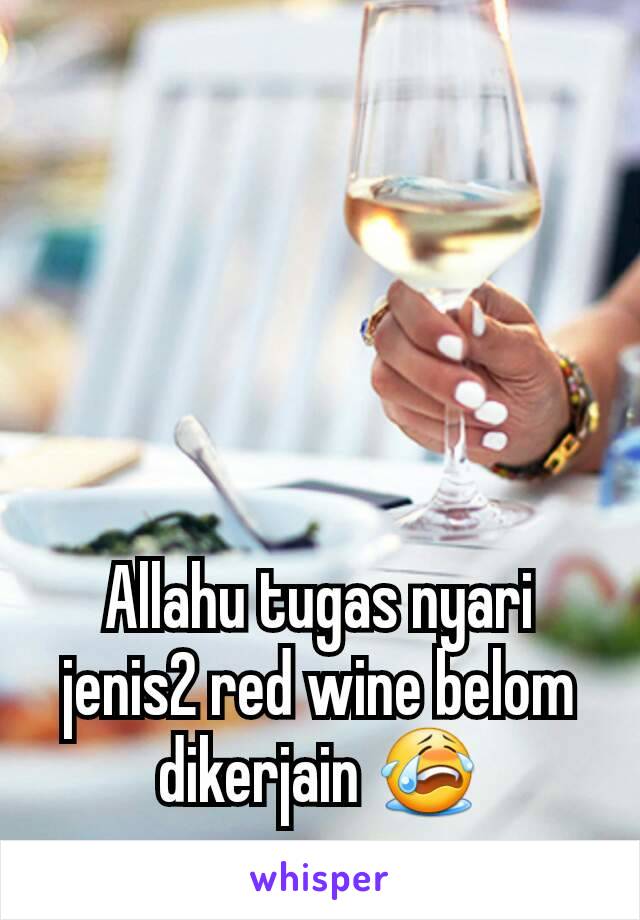 Allahu tugas nyari jenis2 red wine belom dikerjain 😭