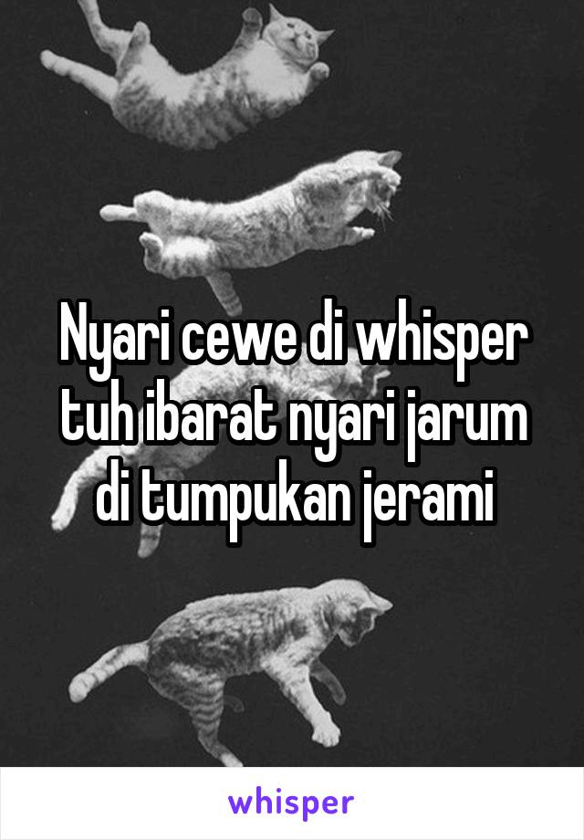 Nyari cewe di whisper tuh ibarat nyari jarum di tumpukan jerami