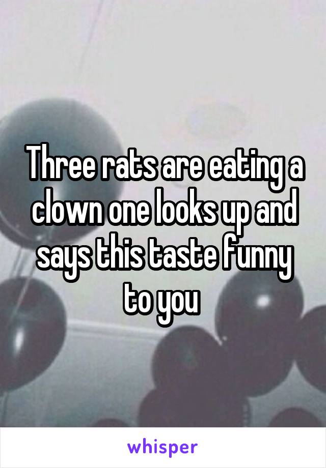 Three rats are eating a clown one looks up and says this taste funny to you 