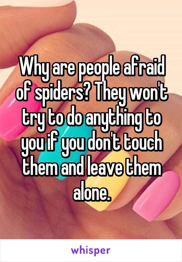 Why are people afraid of spiders? They won't try to do anything to you if you don't touch them and leave them alone.