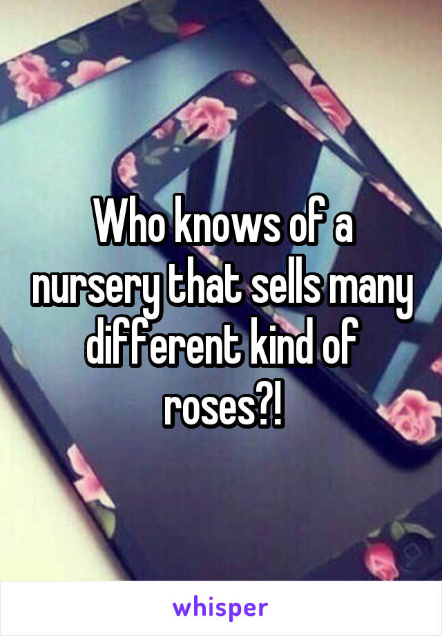 Who knows of a nursery that sells many different kind of roses?!