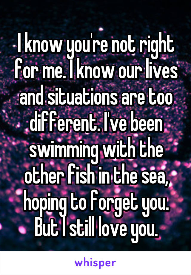 I know you're not right for me. I know our lives and situations are too different. I've been swimming with the other fish in the sea, hoping to forget you. But I still love you.