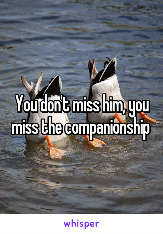 You don't miss him, you miss the companionship 