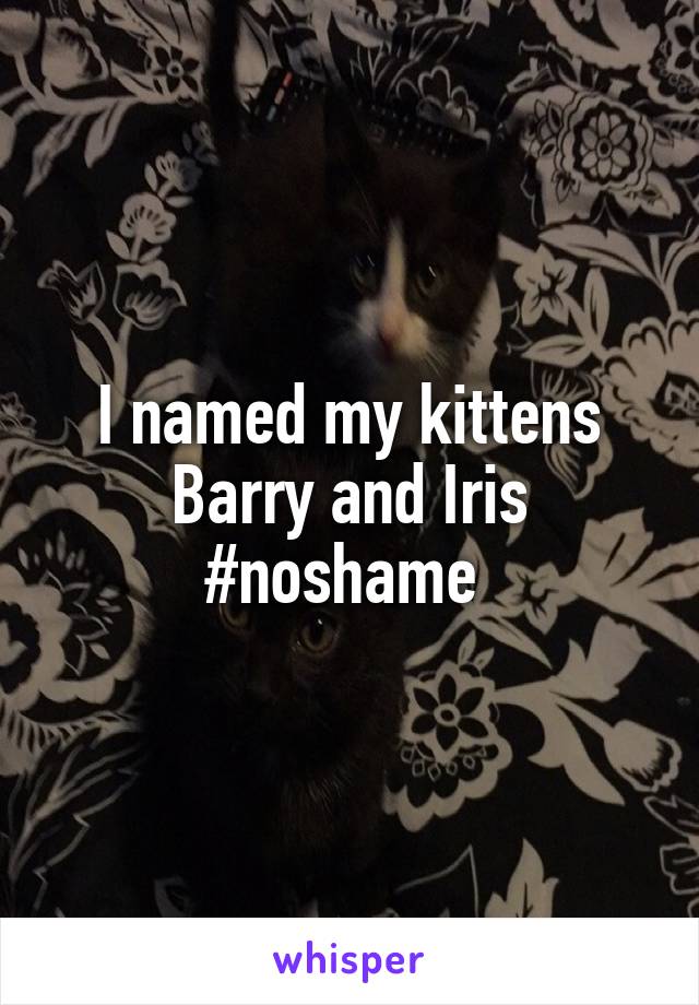 I named my kittens Barry and Iris
#noshame 