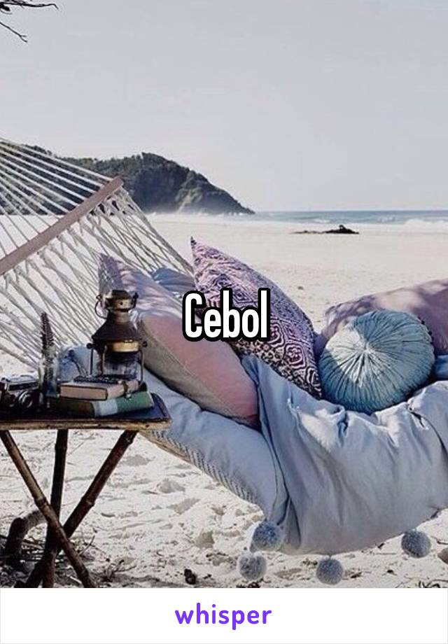 Cebol