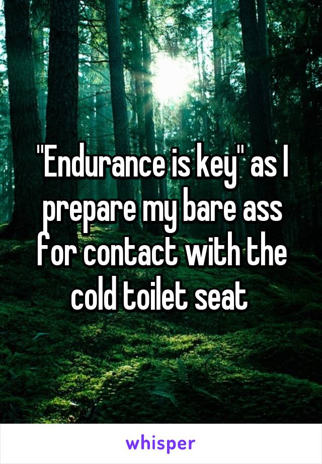 "Endurance is key" as I prepare my bare ass for contact with the cold toilet seat 