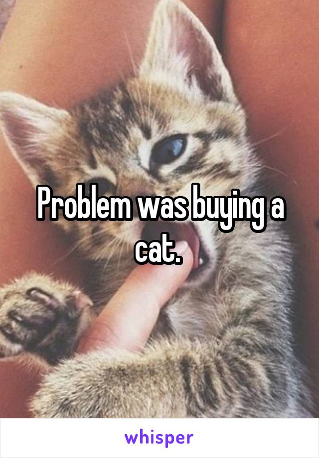 Problem was buying a cat. 