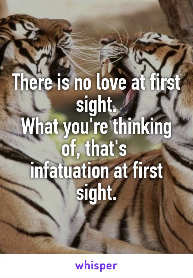 There is no love at first sight.
What you're thinking of, that's 
infatuation at first sight.