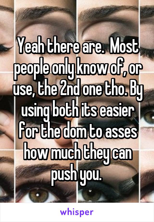 Yeah there are.  Most people only know of, or use, the 2nd one tho. By using both its easier for the dom to asses how much they can push you. 