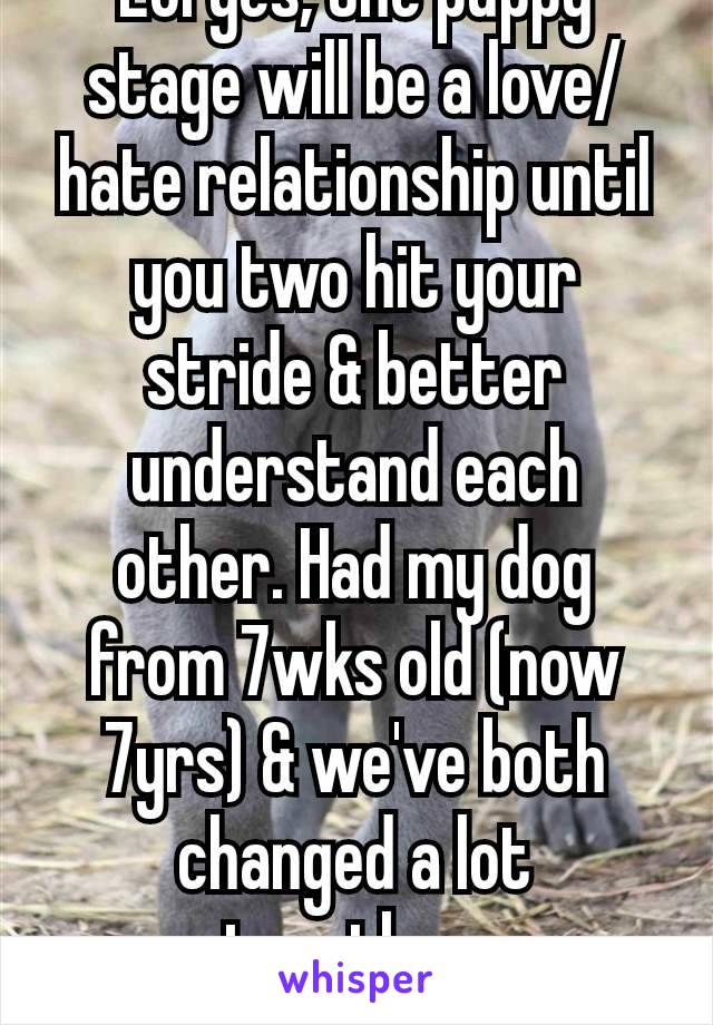 Lol yes, the puppy stage will be a love/hate relationship until you two hit your stride & better understand each other. Had my dog from 7wks old (now 7yrs) & we've both changed a lot together.
🐶♥️