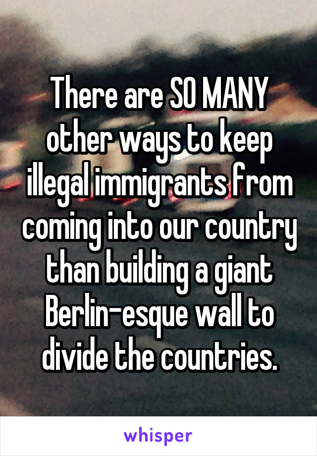 There are SO MANY other ways to keep illegal immigrants from coming into our country than building a giant Berlin-esque wall to divide the countries.