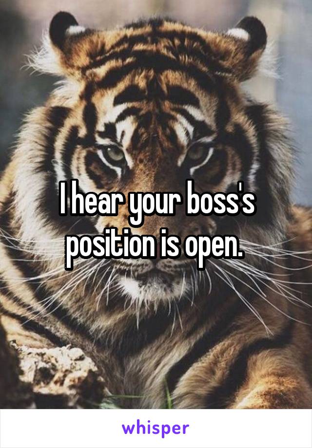 I hear your boss's position is open. 