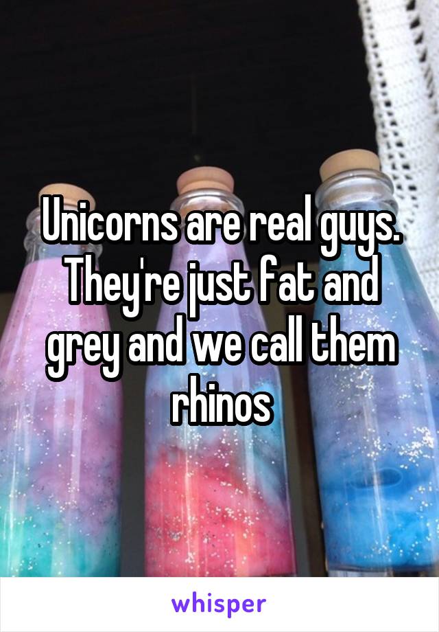 Unicorns are real guys. They're just fat and grey and we call them rhinos