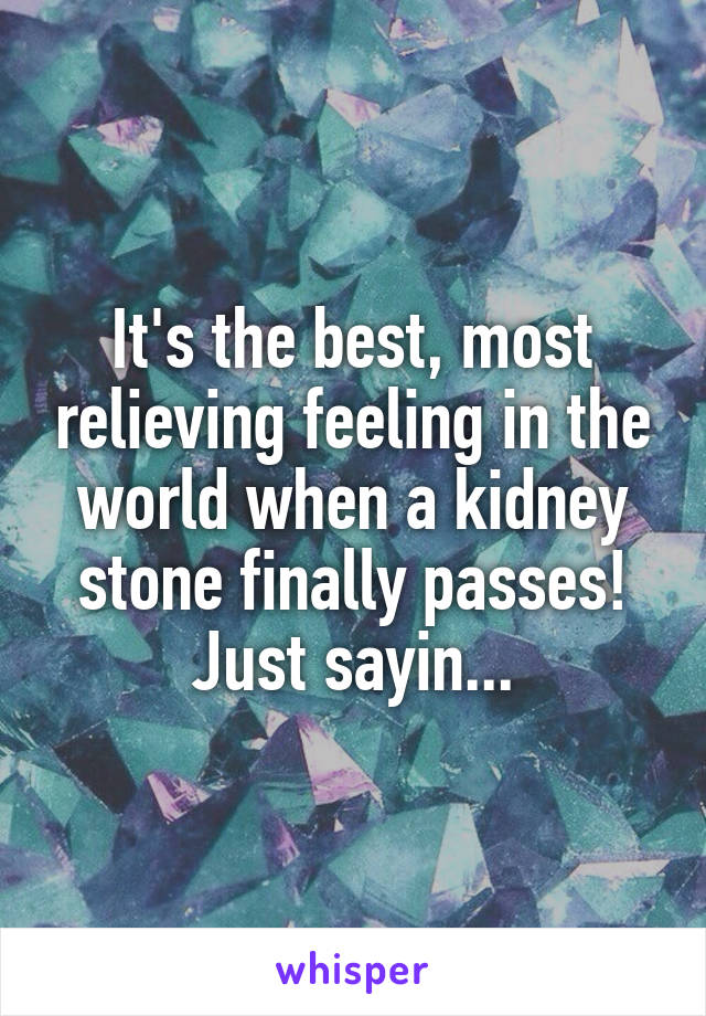 It's the best, most relieving feeling in the world when a kidney stone finally passes!
Just sayin...