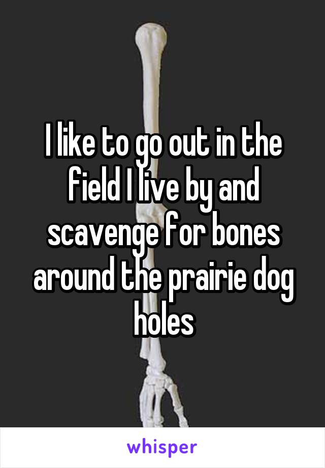 I like to go out in the field I live by and scavenge for bones around the prairie dog holes