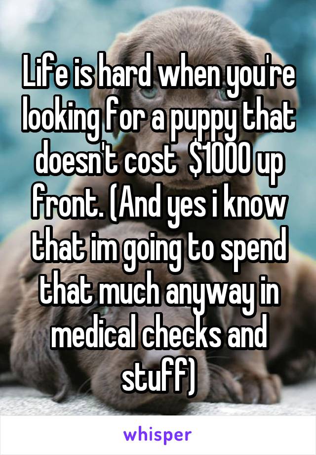 Life is hard when you're looking for a puppy that doesn't cost  $1000 up front. (And yes i know that im going to spend that much anyway in medical checks and stuff)