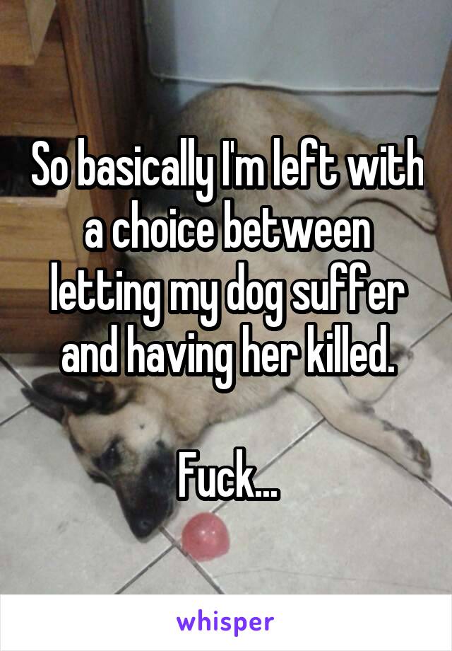 So basically I'm left with a choice between letting my dog suffer and having her killed.

Fuck...