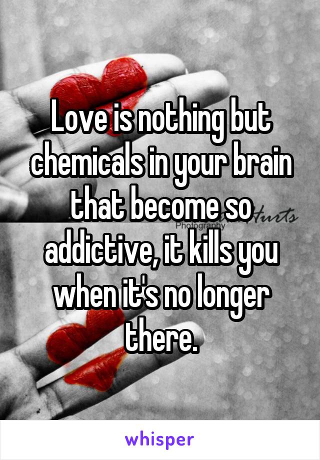 Love is nothing but chemicals in your brain that become so addictive, it kills you when it's no longer there.