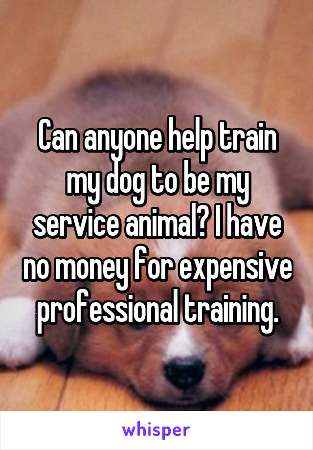 Can anyone help train my dog to be my service animal? I have no money for expensive professional training.