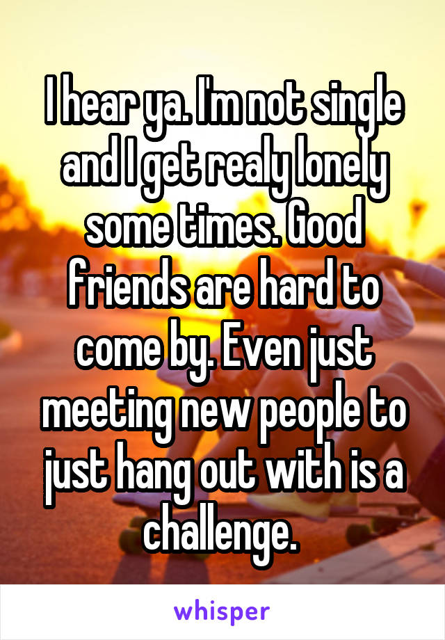 I hear ya. I'm not single and I get realy lonely some times. Good friends are hard to come by. Even just meeting new people to just hang out with is a challenge. 