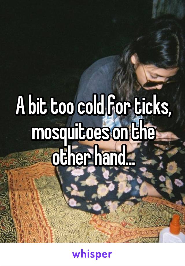 A bit too cold for ticks, mosquitoes on the other hand...