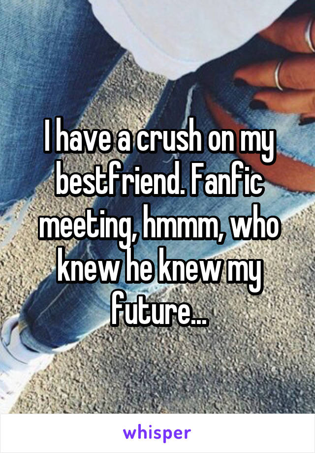 I have a crush on my bestfriend. Fanfic meeting, hmmm, who knew he knew my future...