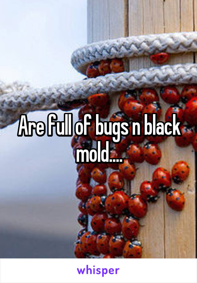 Are full of bugs n black mold....