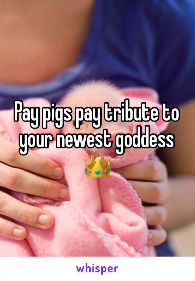 Pay pigs pay tribute to your newest goddess 👑 