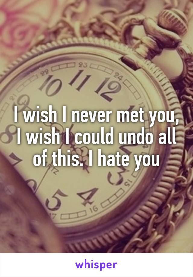 I wish I never met you, I wish I could undo all of this. I hate you