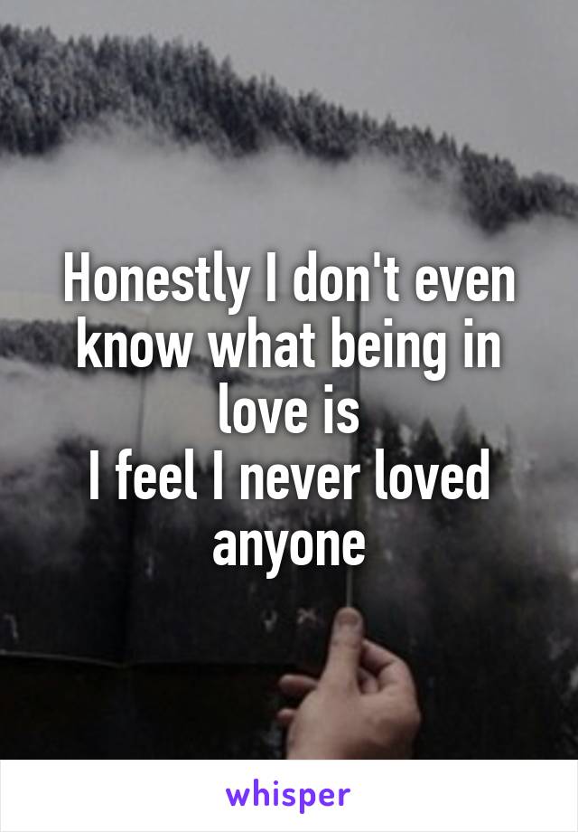 Honestly I don't even know what being in love is
I feel I never loved anyone