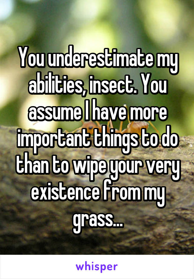 You underestimate my abilities, insect. You assume I have more important things to do than to wipe your very existence from my grass...