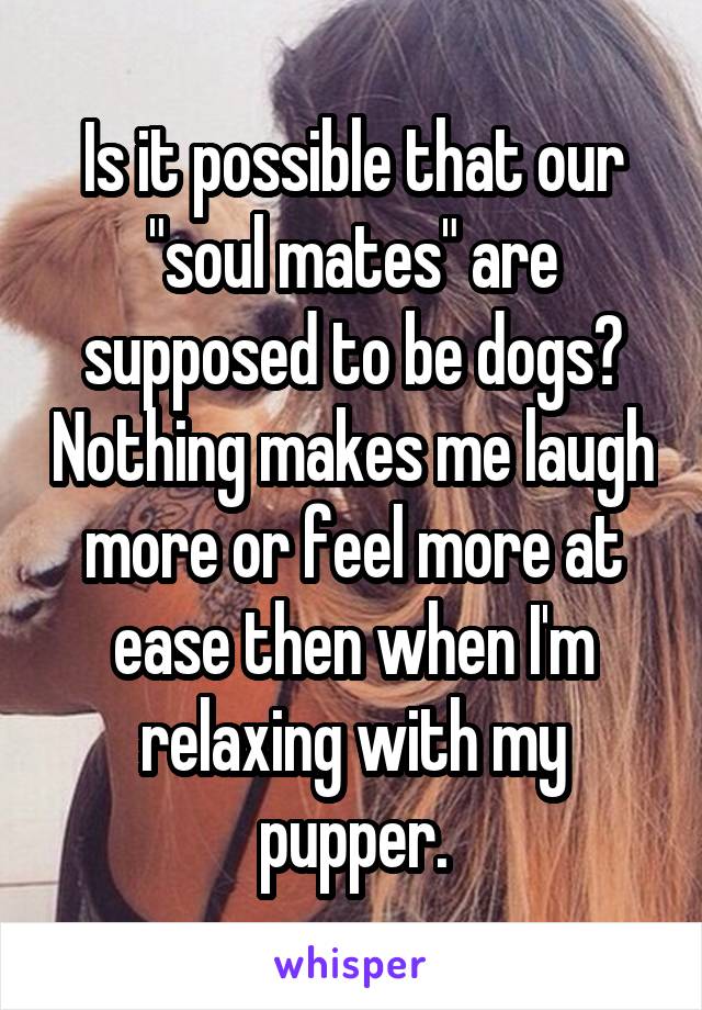 Is it possible that our "soul mates" are supposed to be dogs? Nothing makes me laugh more or feel more at ease then when I'm relaxing with my pupper.