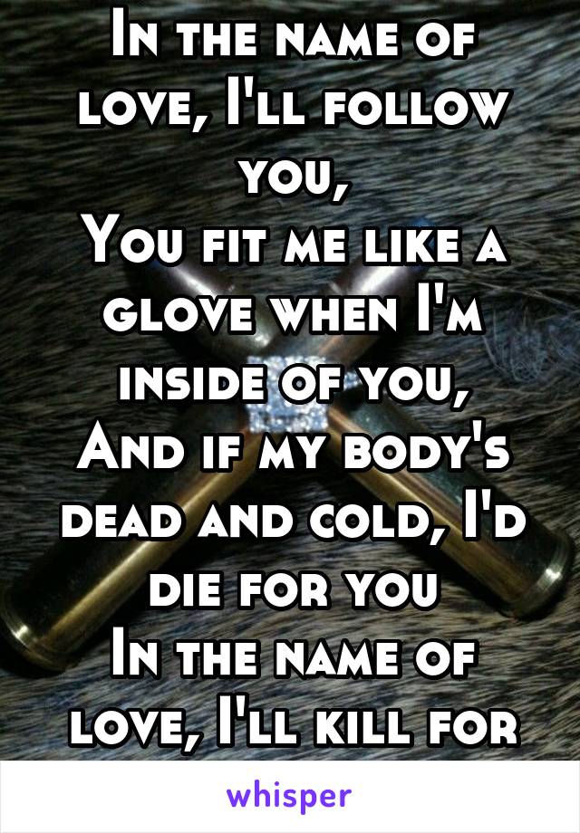 In the name of love, I'll follow you,
You fit me like a glove when I'm inside of you,
And if my body's dead and cold, I'd die for you
In the name of love, I'll kill for you.