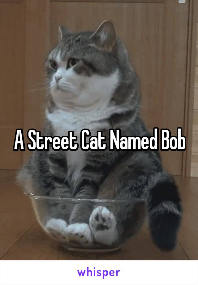 A Street Cat Named Bob