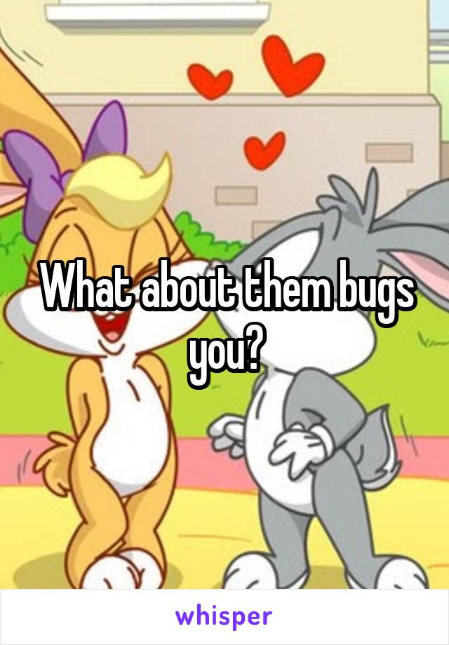 What about them bugs you?