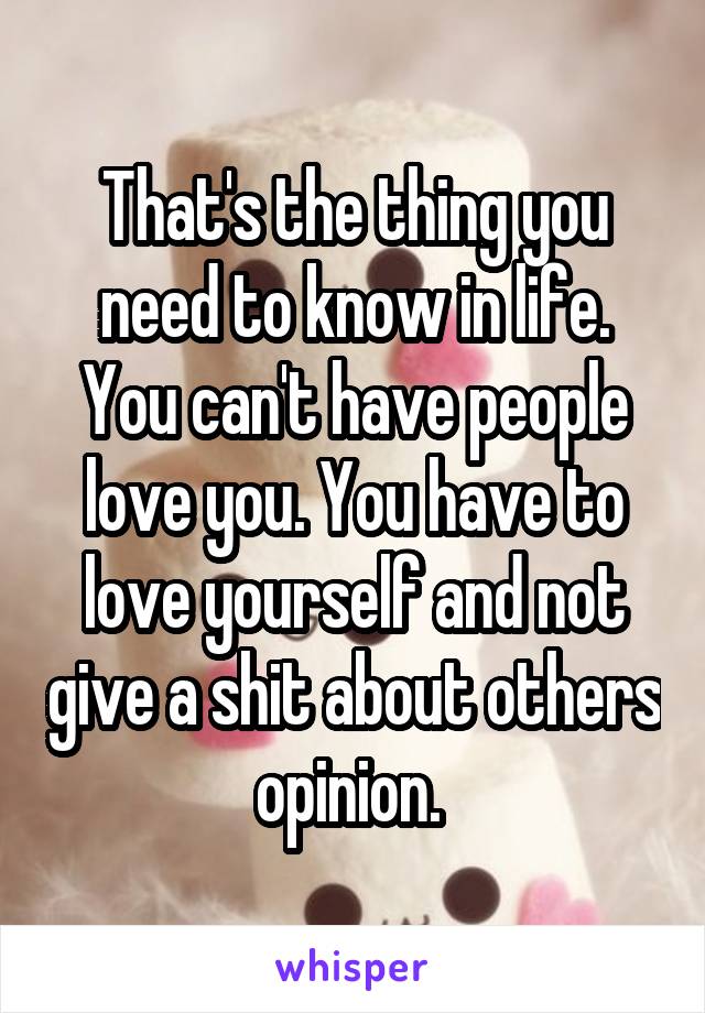 That's the thing you need to know in life. You can't have people love you. You have to love yourself and not give a shit about others opinion. 