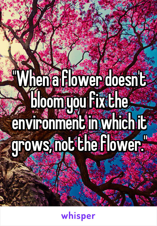 "When a flower doesn't bloom you fix the environment in which it grows, not the flower."