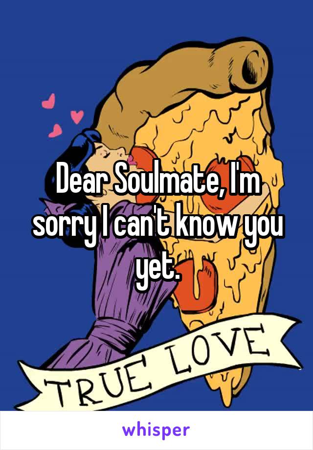 Dear Soulmate, I'm sorry I can't know you yet.