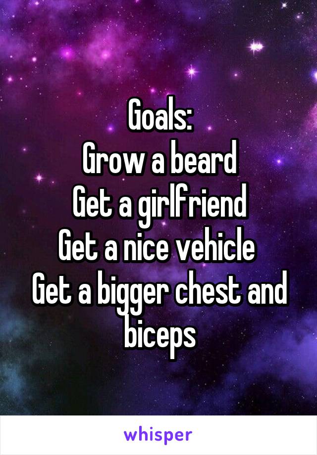 Goals:
Grow a beard
Get a girlfriend
Get a nice vehicle 
Get a bigger chest and biceps