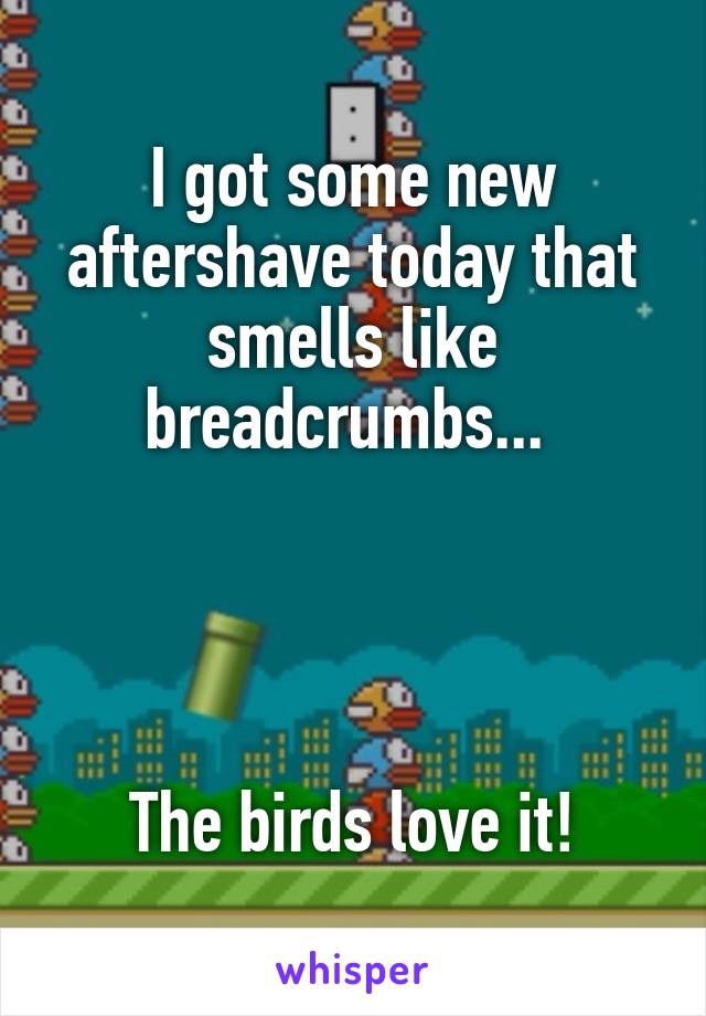 I got some new aftershave today that smells like breadcrumbs... 




The birds love it!