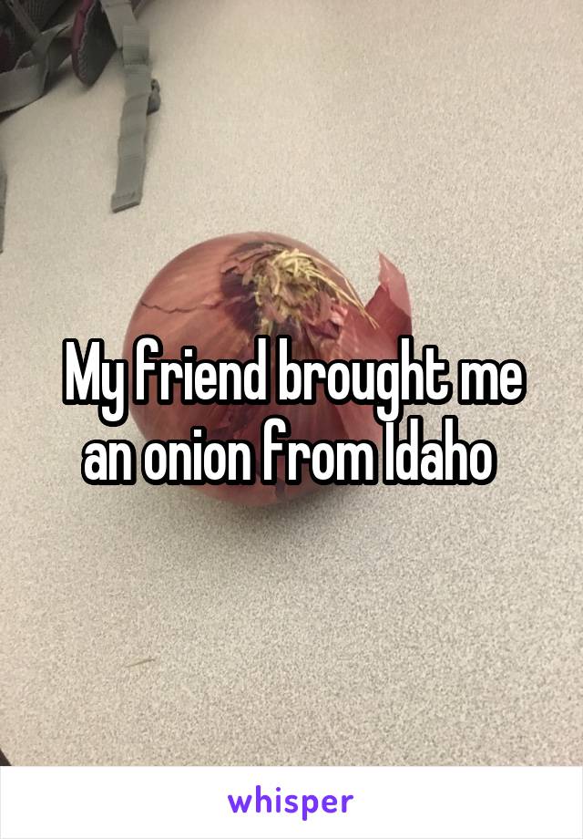 My friend brought me an onion from Idaho 