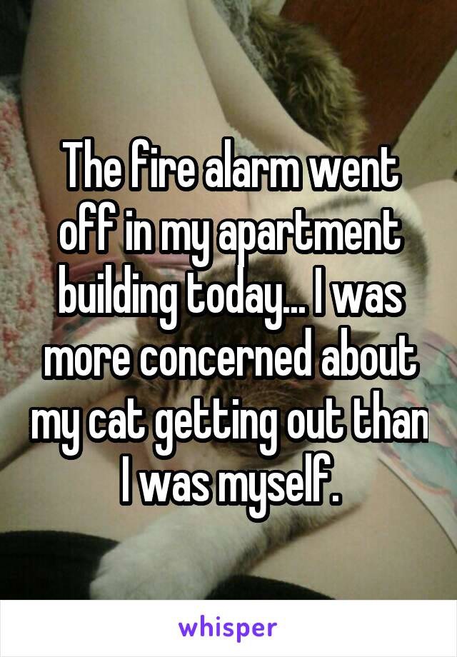 The fire alarm went off in my apartment building today... I was more concerned about my cat getting out than I was myself.