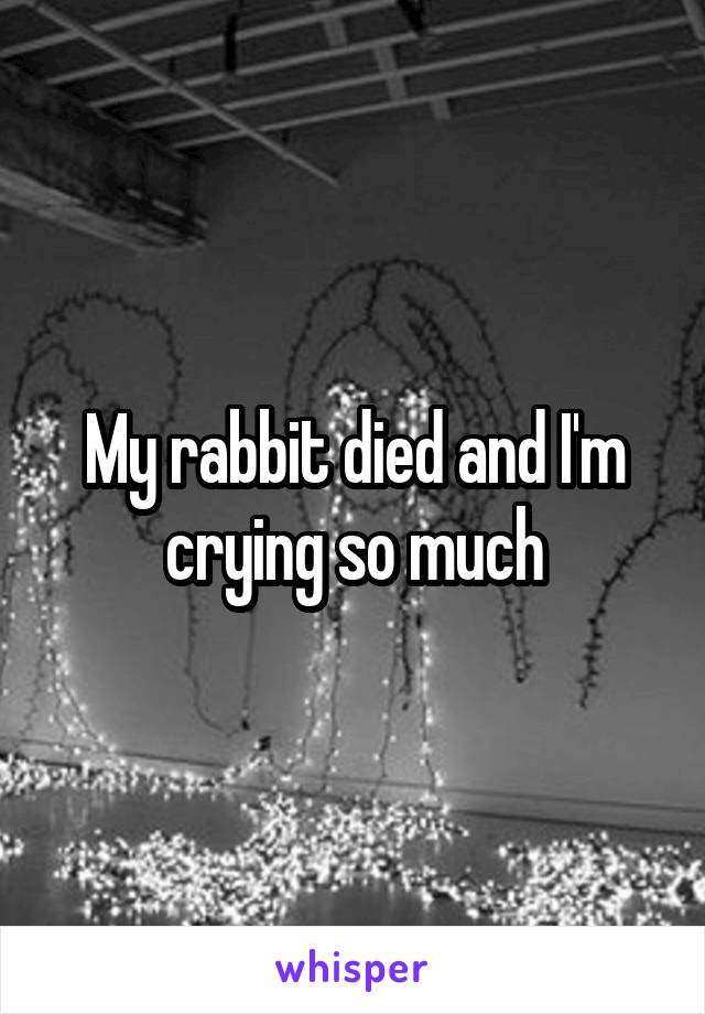 My rabbit died and I'm crying so much