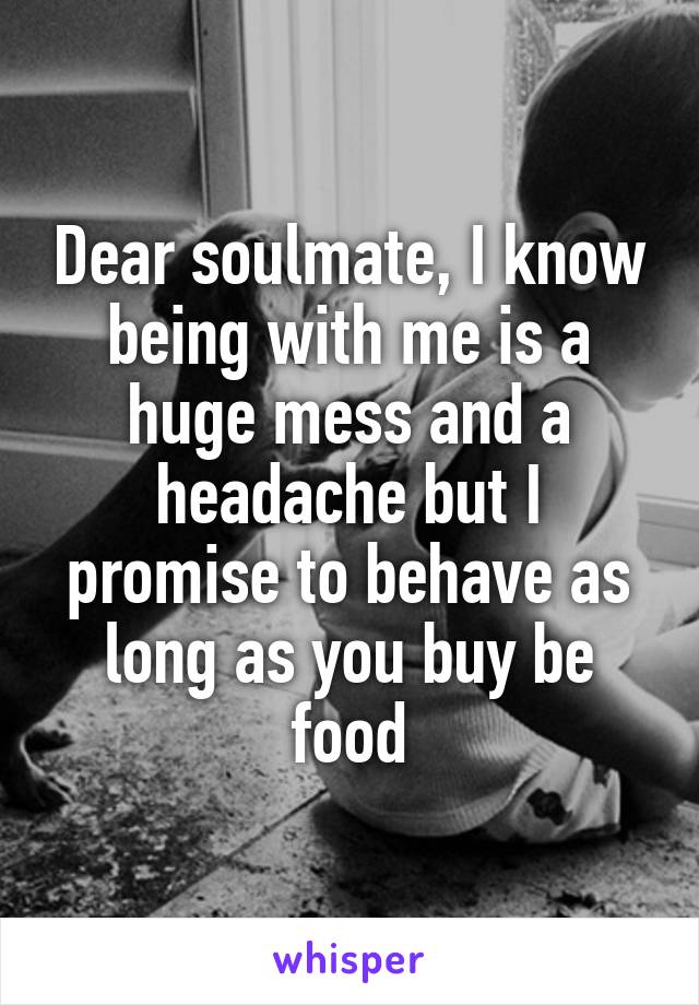 Dear soulmate, I know being with me is a huge mess and a headache but I promise to behave as long as you buy be food